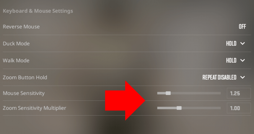 Best Mouse Settings for CS2